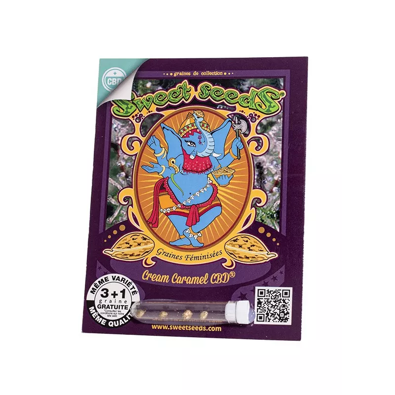 Cream Caramel CBD - Sweet Seeds