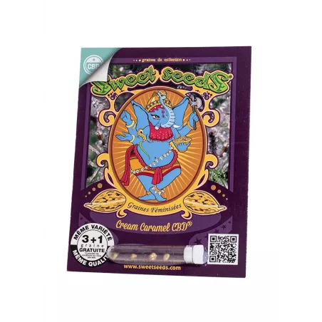Cream Caramel CBD - Sweet Seeds