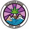 Critical Super Silver Haze – Delicious Seeds
