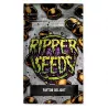 Payton Delight - Ripper Seeds