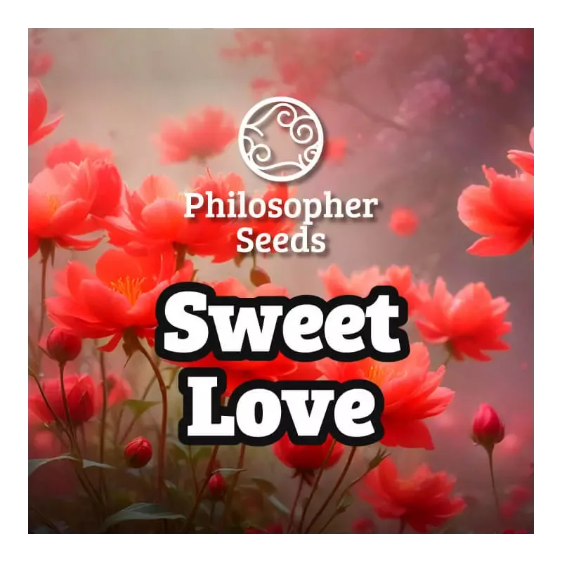 Sweet Love - Philosopher Seeds