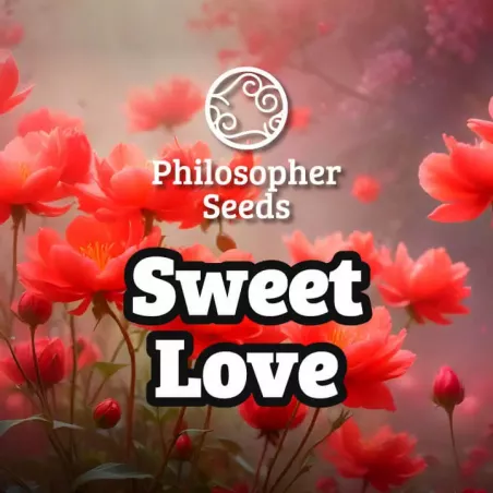 Sweet Love - Philosopher Seeds