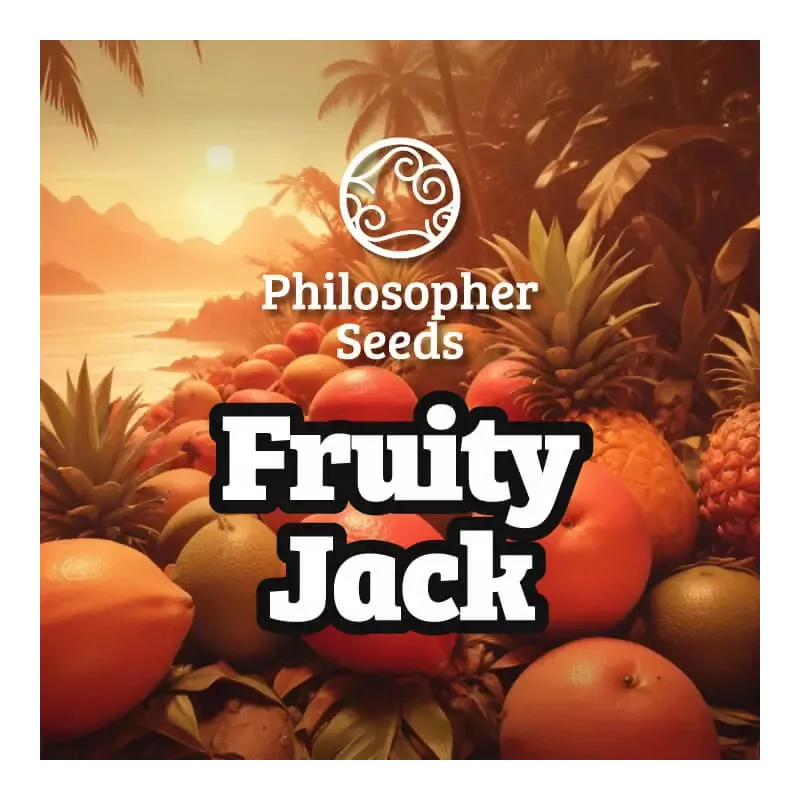 Fruity Jack - Philosopher Seeds