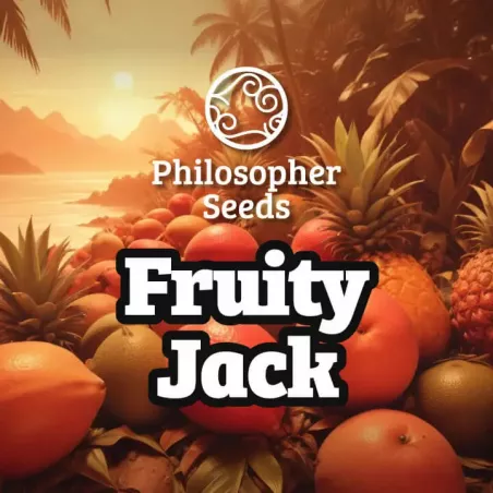 Fruity Jack - Philosopher Seeds