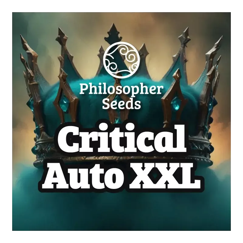 Critical XXL Auto - Philosopher Seeds