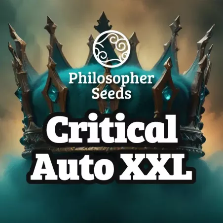 Critical XXL Auto - Philosopher Seeds