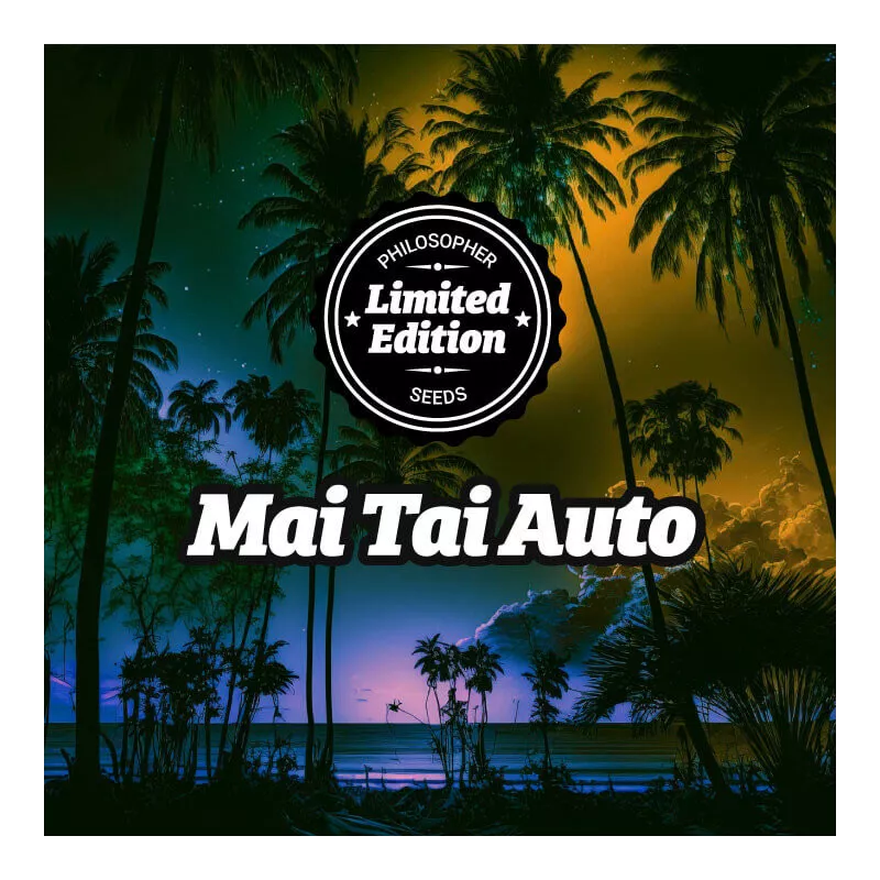 Mai Tai Auto - Philosopher Seeds