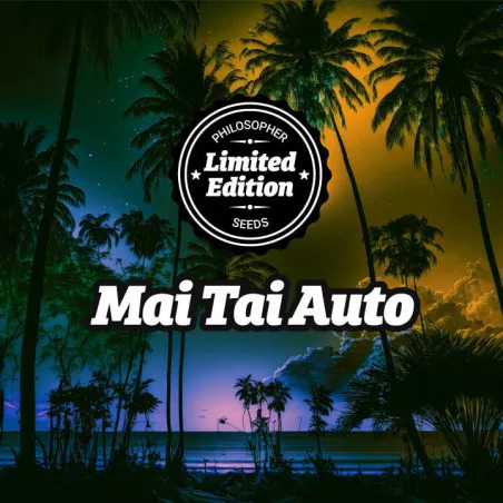 Mai Tai Auto - Philosopher Seeds