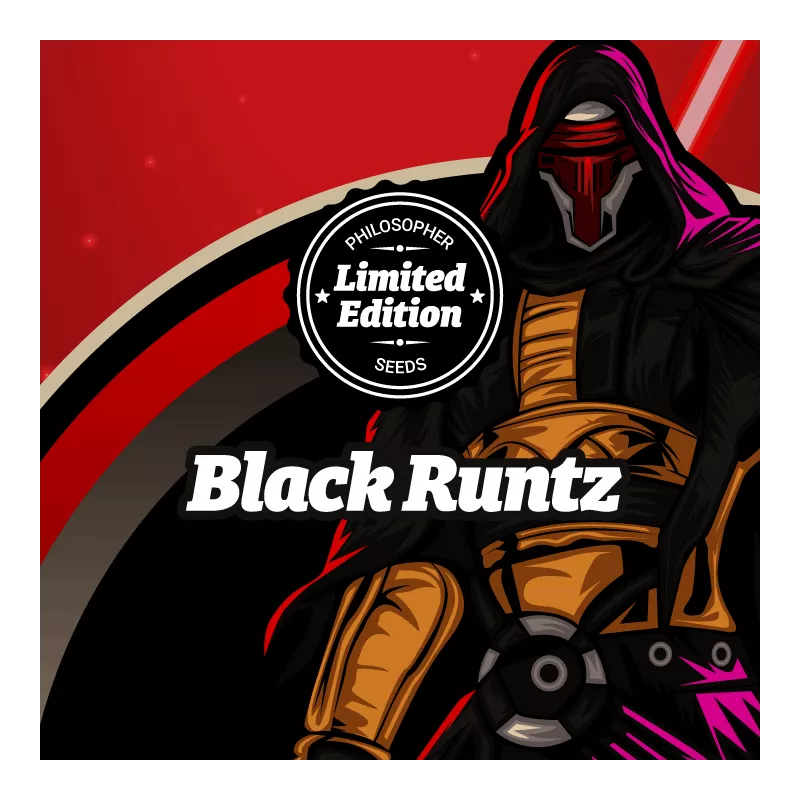 Black Runtz - Philosopher Seeds