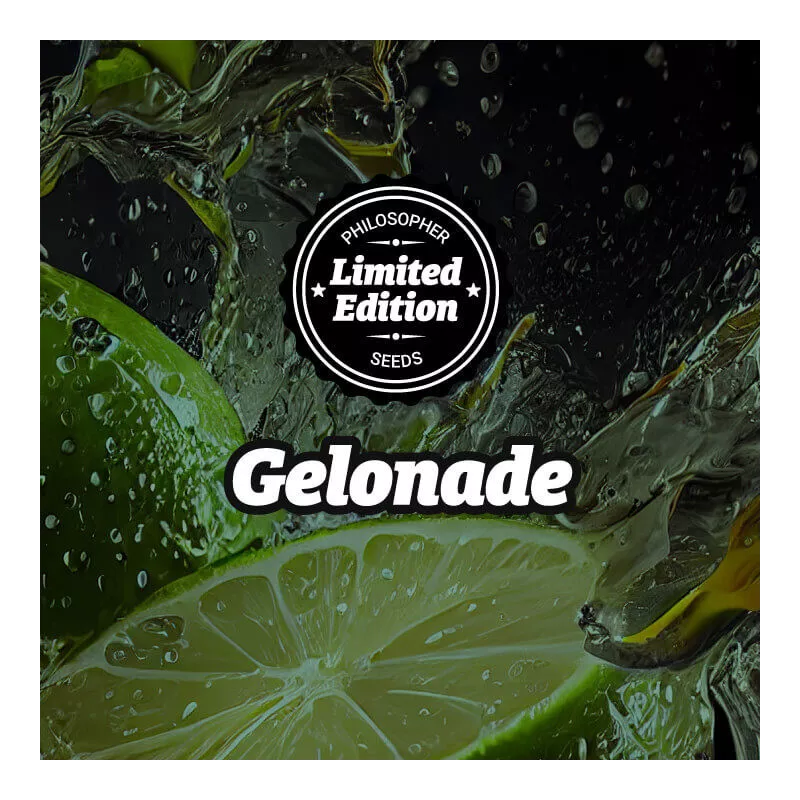 Gelonade - Philosopher Seeds