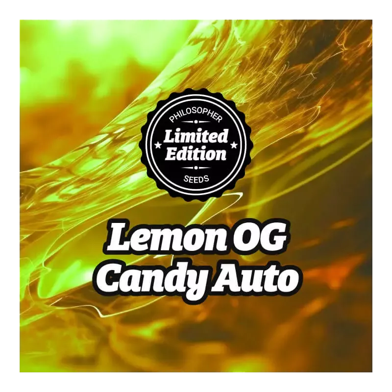 Lemon OG Candy Auto - Philosopher Seeds
