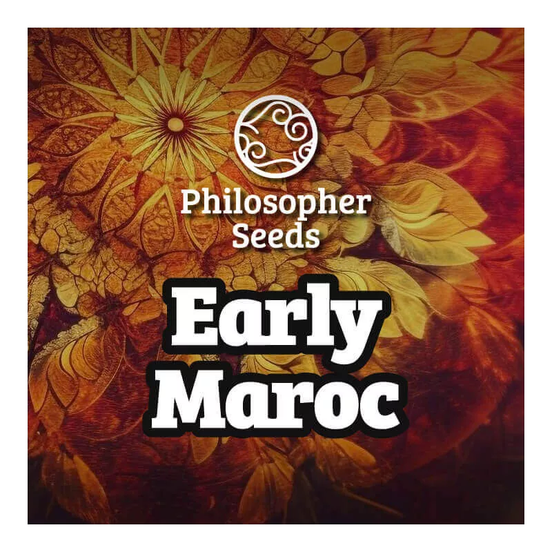 Early Maroc - Philosopher Seeds