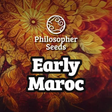 Early Maroc - Philosopher Seeds