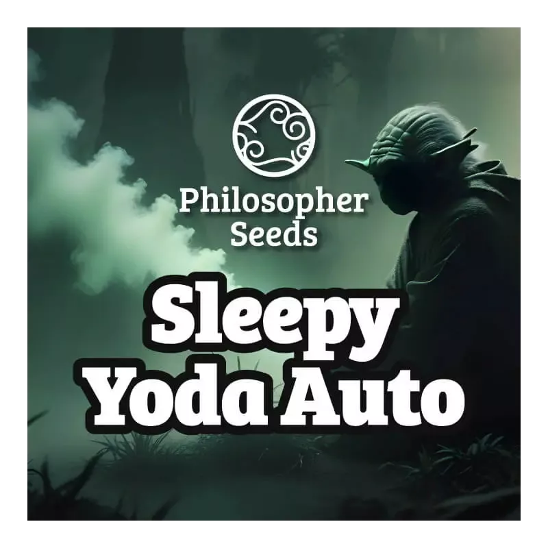 Sleepy Yoda Auto - Philosopher Seeds