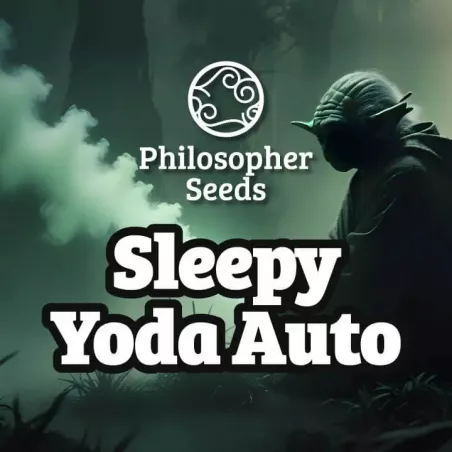 Sleepy Yoda Auto - Philosopher Seeds