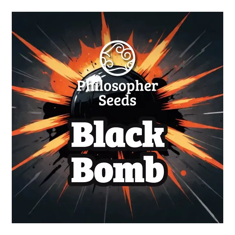 Black Bomb - Philosopher seeds
