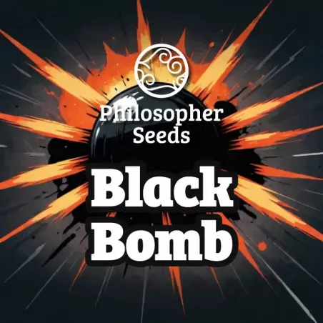 Black Bomb - Philosopher seeds