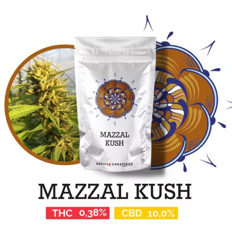 Mazzal Kush - Sativa Creations