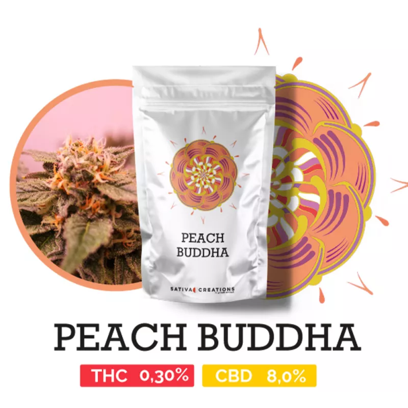 Peach Buddha - Sativa Creations