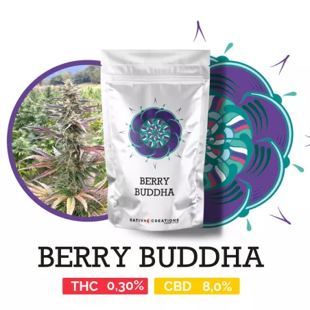 Berry Buddha - Sativa Creations