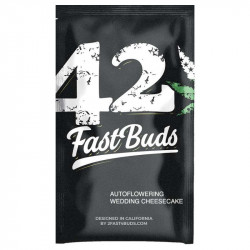 Wedding Cheesecake Auto - 420Fastbuds