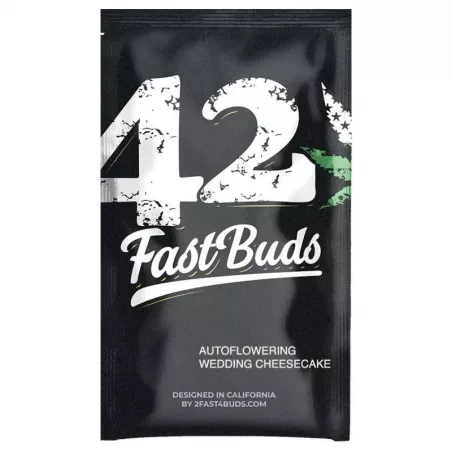 Wedding-Cheesecake-Auto-fast-buds-les-jardins-de-bouddha