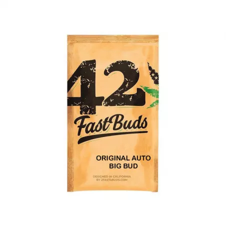 big-bud-Auto-fast-buds-les-jardins-de-bouddha
