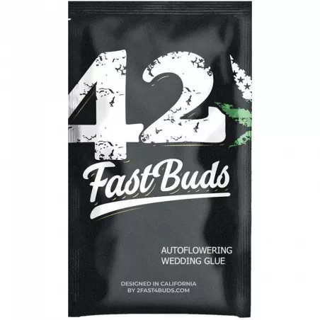 Wedding-Glue-Auto-fast-buds-les-jardins-de-bouddha