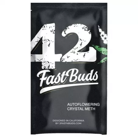 Crystal-Meth-Auto-fast-buds-les-jardins-de-bouddha