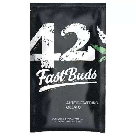 Gelato-Auto-fast-buds-les-jardins-de-bouddha
