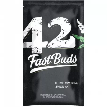 Lemon-AK-Auto-fast-buds-les-jardins-de-bouddha