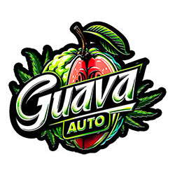 Guava Auto - 420Fastbuds