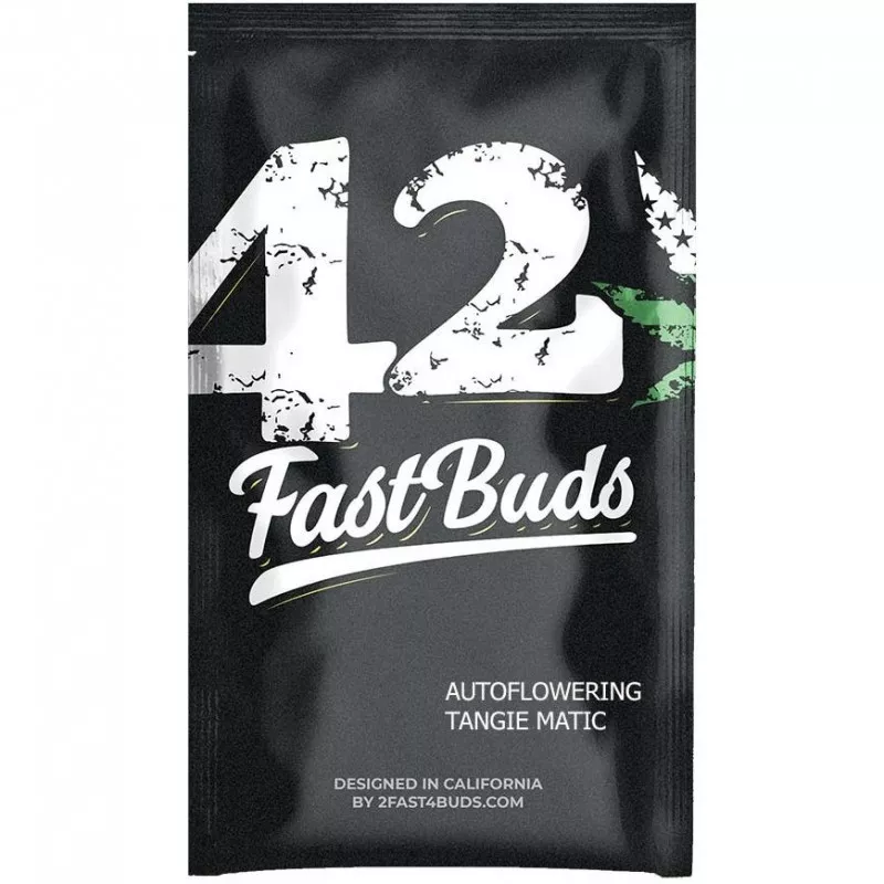 Tangie Auto 420Fastbuds - Powerful Citrus Sativa