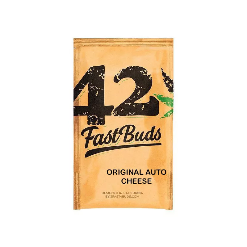 Cheese-Auto-fast-buds-les-jardins-de-bouddha