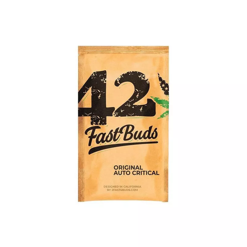 Critical-Auto-fast-buds-les-jardins-de-bouddha