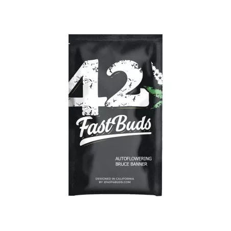 Bruce-Banner-Auto-fast-buds-les-jardins-de-bouddha