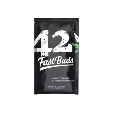 Strawberry-Banana-Auto-fast-buds-les-jardins-de-bouddha