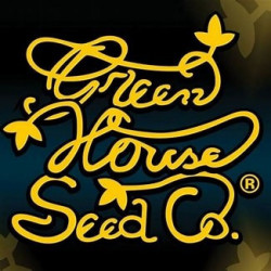 Fullgas - GreenHouse Seeds