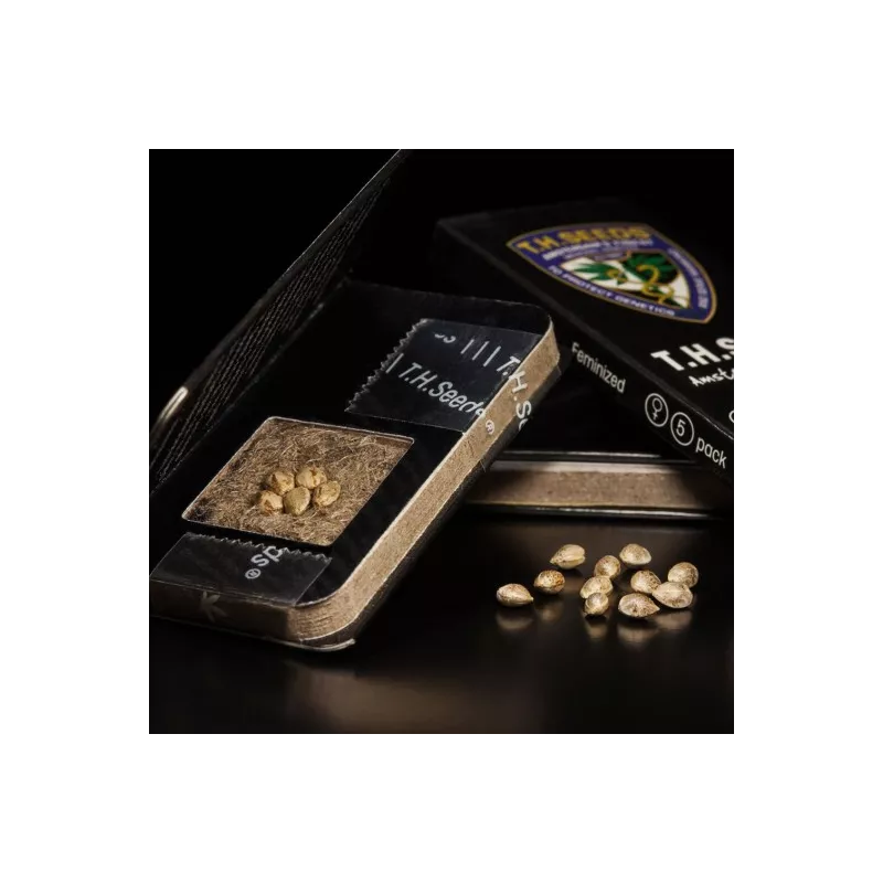 S.A.G.E. - T.H.Seeds