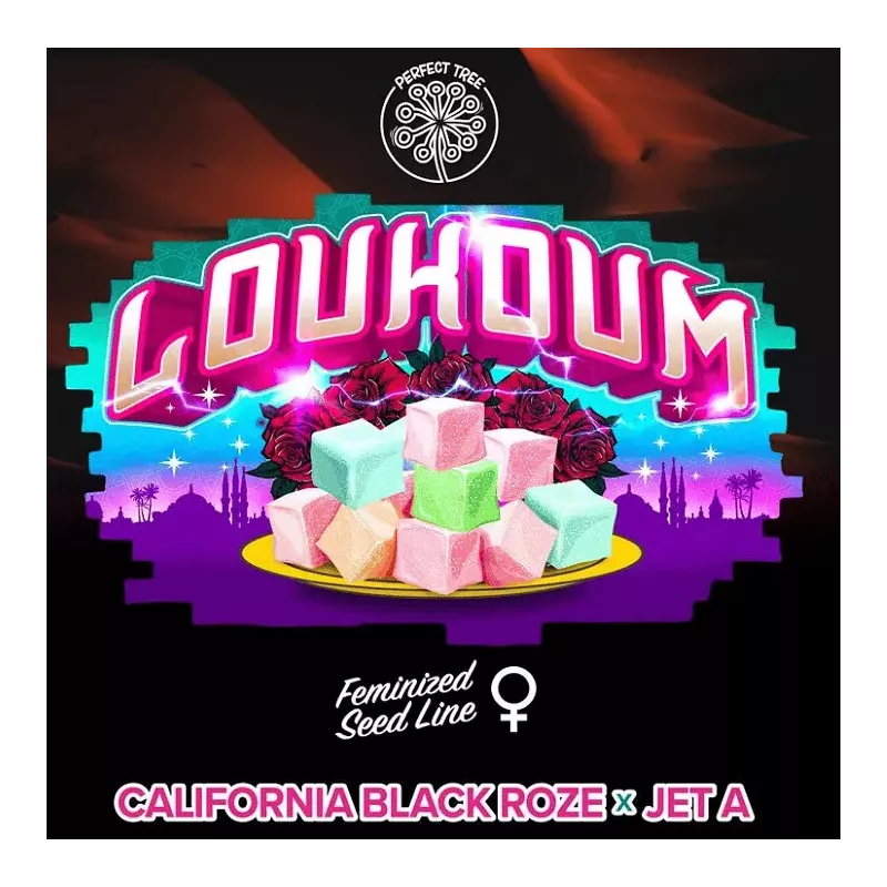 Loukoum - Perfect Tree Seeds