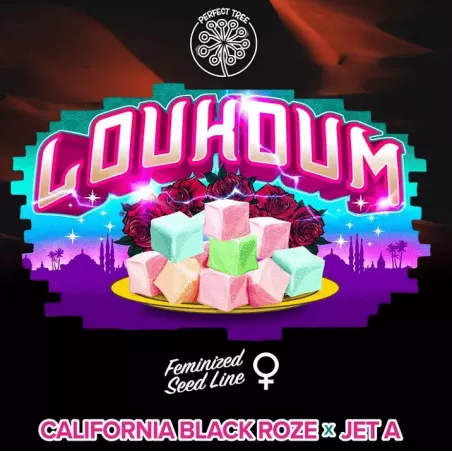 Loukoum - Perfect Tree Seeds