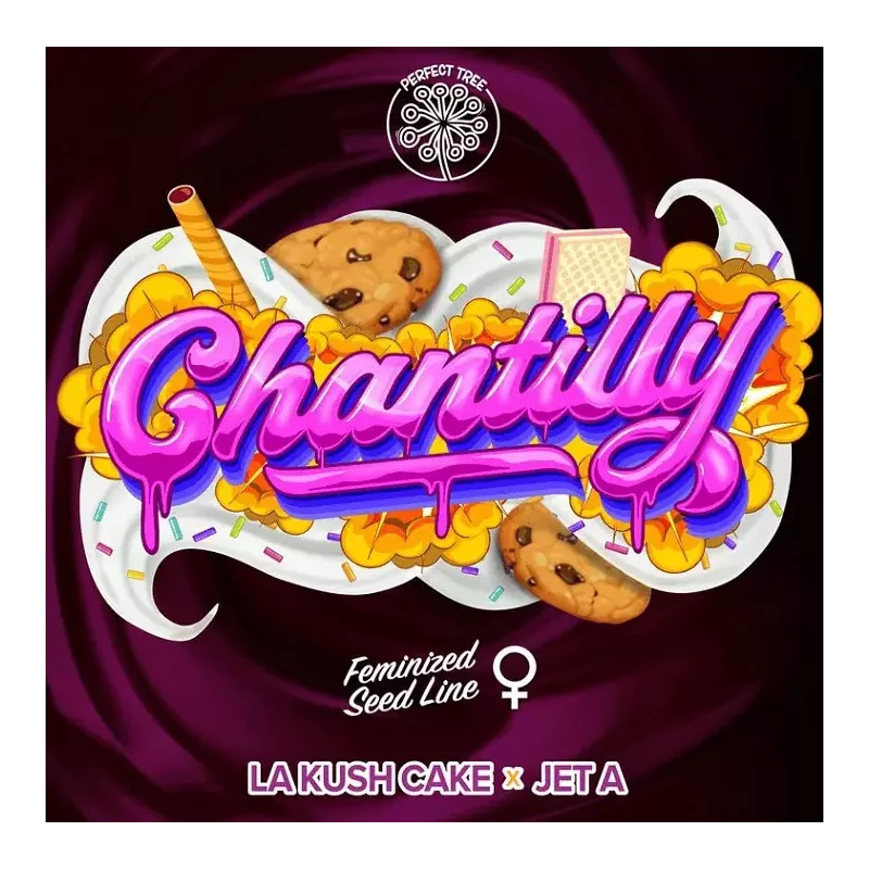 Chantilly - Perfect Tree Seeds