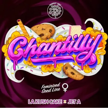 Chantilly - Perfect Tree Seeds