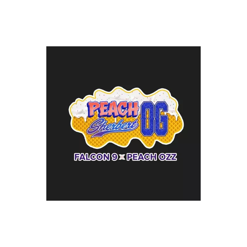 Peach Sherbet OG - Perfect Tree Seeds