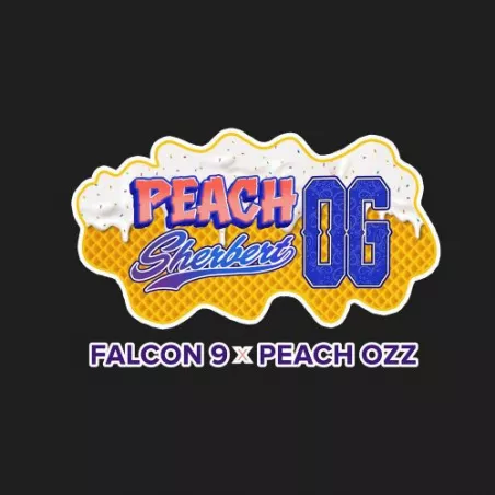 Peach Sherbet OG - Perfect Tree Seeds