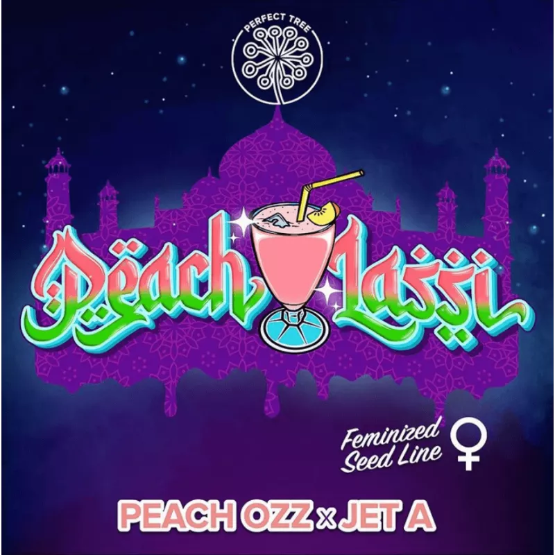 Peach Lassi - Perfect Tree Seeds