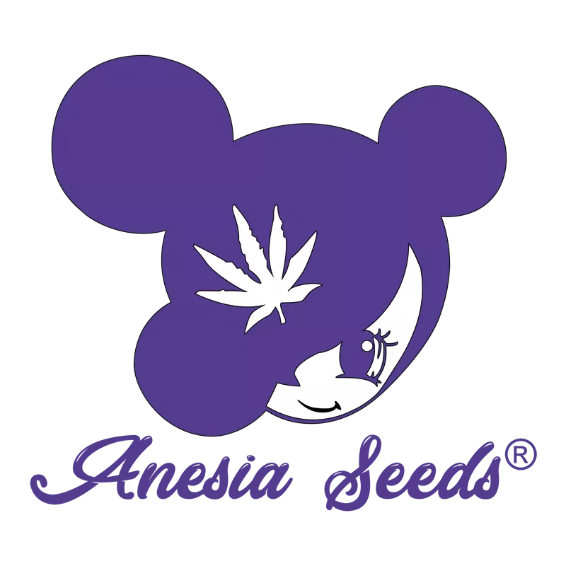 Deep Jealousy Auto - Anesia Seeds