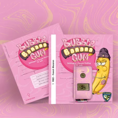 BubbleBananaGum - T.H.Seeds