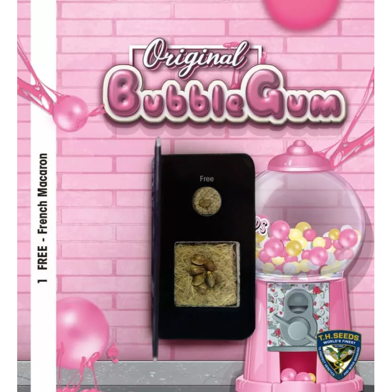 Bubblegum - T.H.Seeds