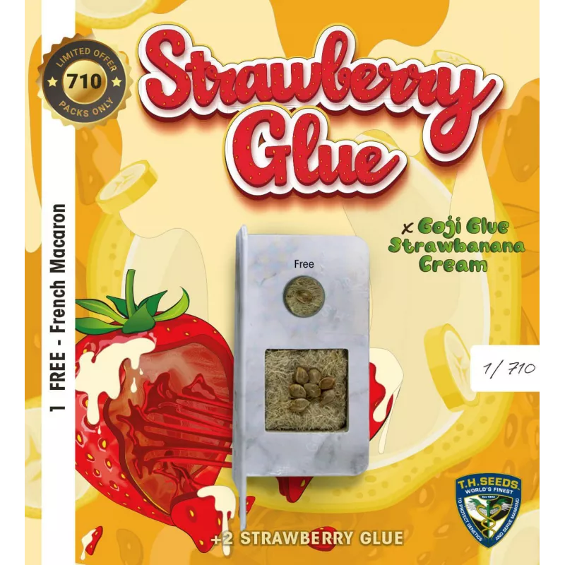 Strawberry Glue - T.H.Seeds